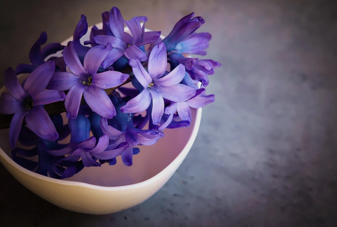 Choosing bouquet colours at the studio