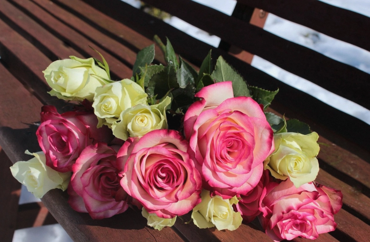 Dave Ormond, deliveries and grower runs