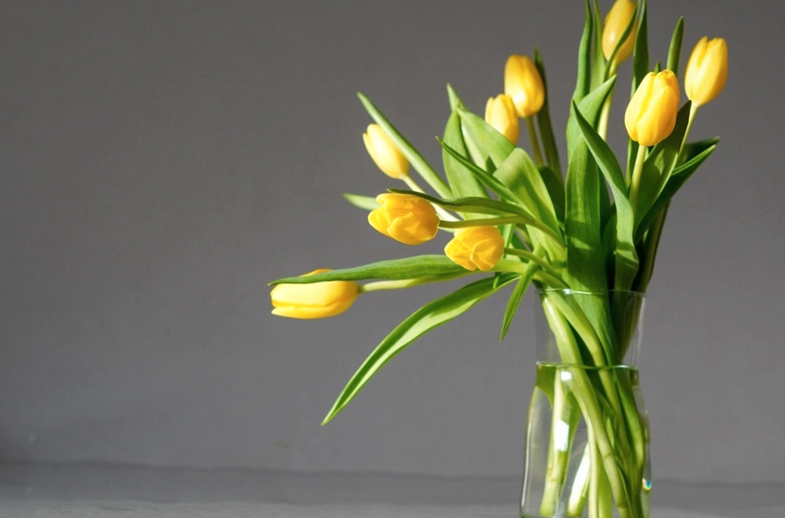 Seasonal flowers laid out by month