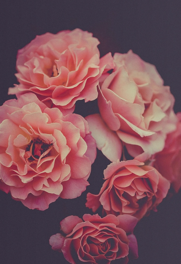 Hand-tied custom bouquet in warm seasonal colours